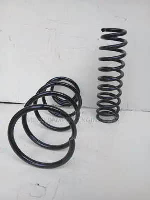 Toyota Vanguard Coil Springs.