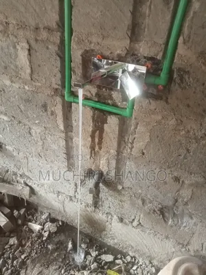 Plumbing Services