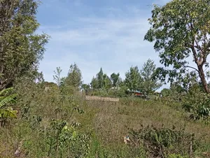 Distressed Deal! Full Quarter Acre in Matasia, Ngong at Kes 2.35m