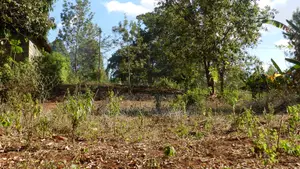 Quatre Acre Land for Sale in Kenol