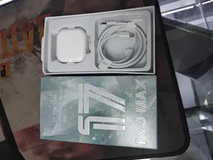 17 Pro Max Charger