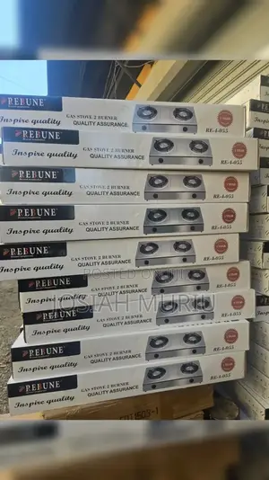 Rebune Two Burner Gas Stove