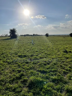 Kitengela Prime Plots