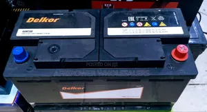 Delko Din 100 Car Battery Maintenance Free