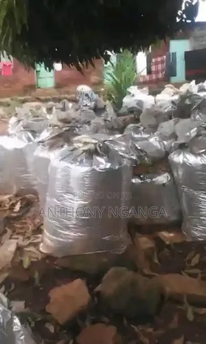 Silage Bags for Sale