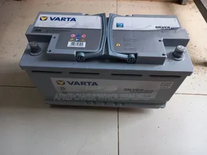 Varta Din 95 Agm Car Battery