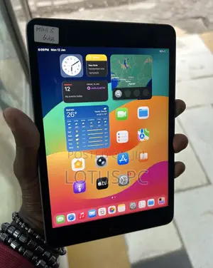 Apple iPad mini 5 64 GB Gray