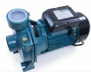 Premier 2hp Jet Pump