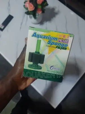 Spongefilter Pump