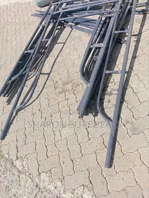 Construction Scaffold Ladder