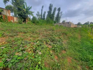 50 X 100 Residencial Plot for Sale in Githunguri Kiambu County 