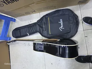 Fender Semi Guitar Set