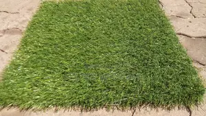 Artificial Grass Capet