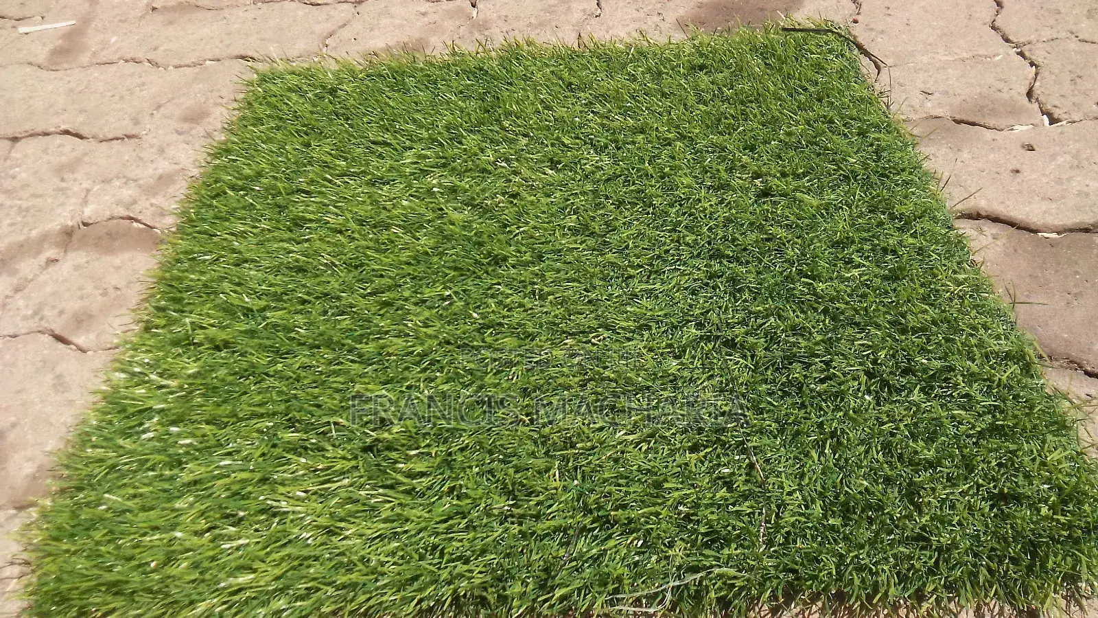 Grass Capet
