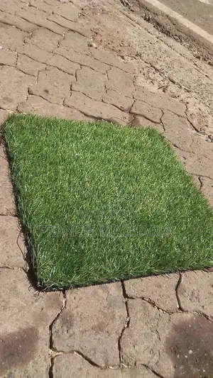 Barcon Grass Capet New
