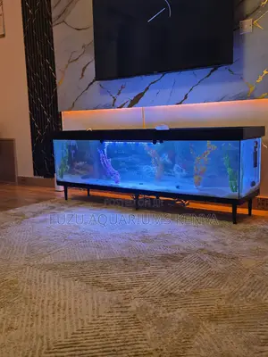 Executive Aquarium Tv Stand – Quiet Luxury