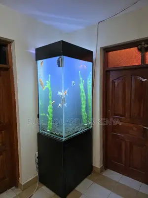 Stunning Vertical Glass Aquarium for Sale