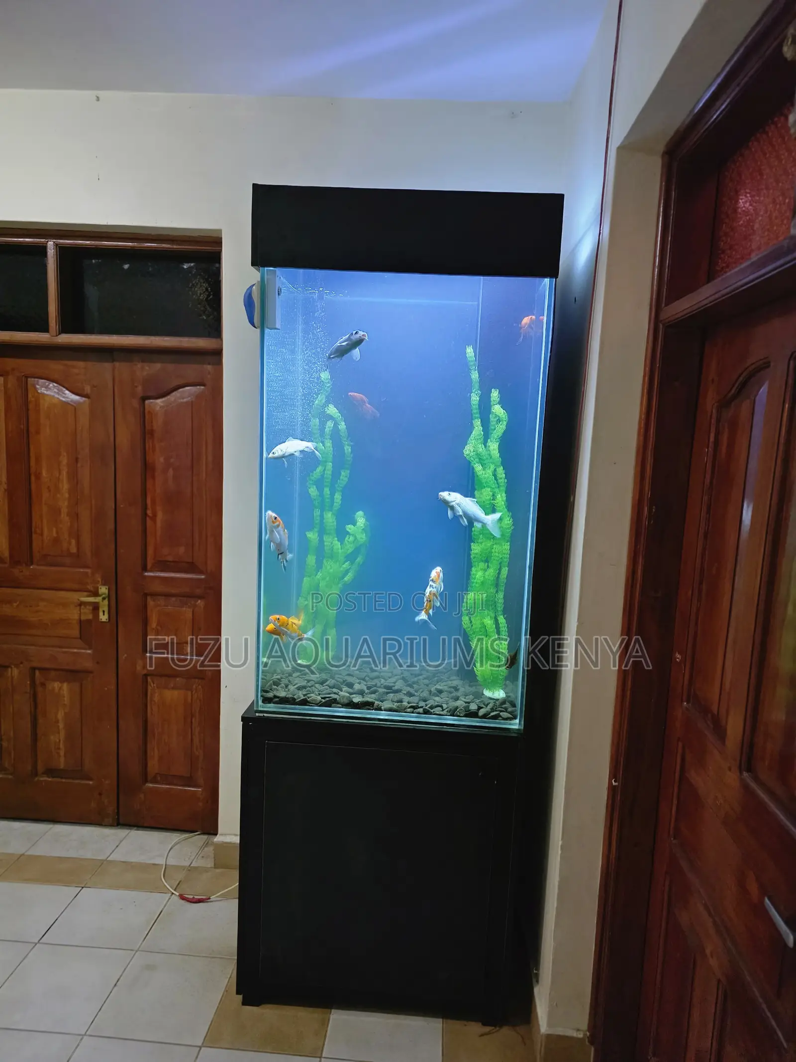 All-in-One Luxury Column Aquarium Kit