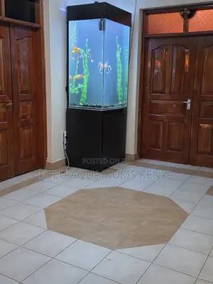 Decorative Home Aquarium With Blue Led Lighting