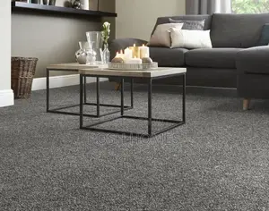 Plush Flooring Grey Wall to Wall Carpets