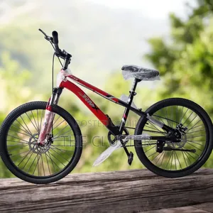 BMX Size 20 Bicycle