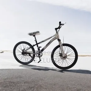 BMX Size 20 Bicycle