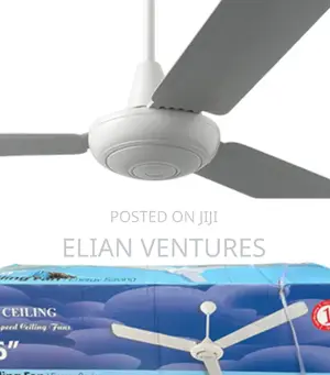 Original Ceiling Fan