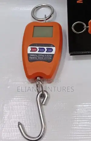 Affordable 200 KGS Digital Hanging Scale