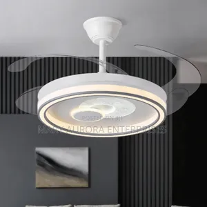 Ceiling Light With Fan