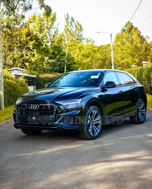 Audi Q8 Premium Plus 2023 Black