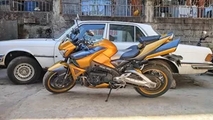Suzuki 2008 Gold