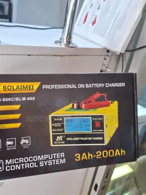 Bolaimei Blm-866c Smart Pulse Battery Charger 12v/24v