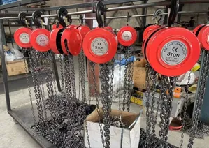 3 Tonne 3m Chain Block /3ton 3m Chain Block