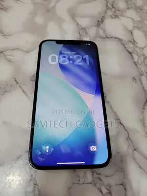 Apple iPhone 12 Pro Max 256 GB Blue