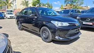 Toyota Axio 2019 Black