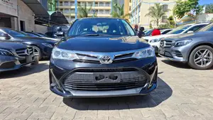 Toyota Axio 2019 Black