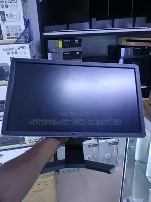 Dell 20-Inch