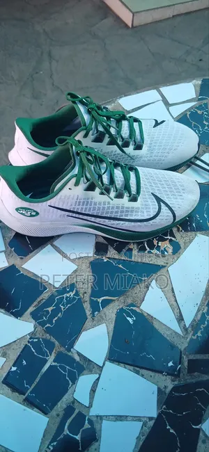 Nike Zoom Pegasus37