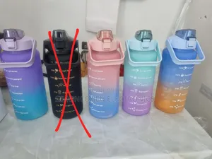 3 In 1 Motivation Water Bottle