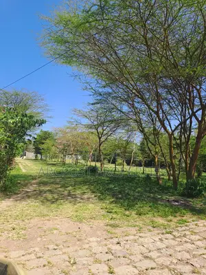 Investor-Ready Residential Development Opportunity – Masai Lodge Road
