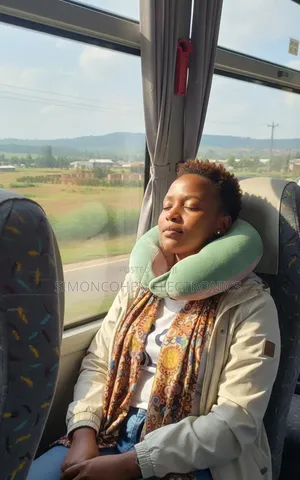 Plush Neck Pillow