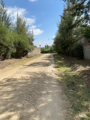 Plot for Sale 100*100 in Ruai Block 10