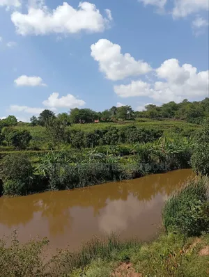 Kaani-MKS 11 Acres for Sale -Best for Farming.