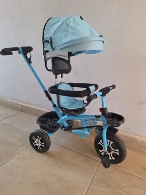 Tricycle With Canopy