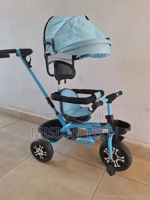 Kids Tricycle With Canopy and Push Handle 