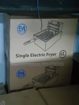 Single Deep Fryer Em