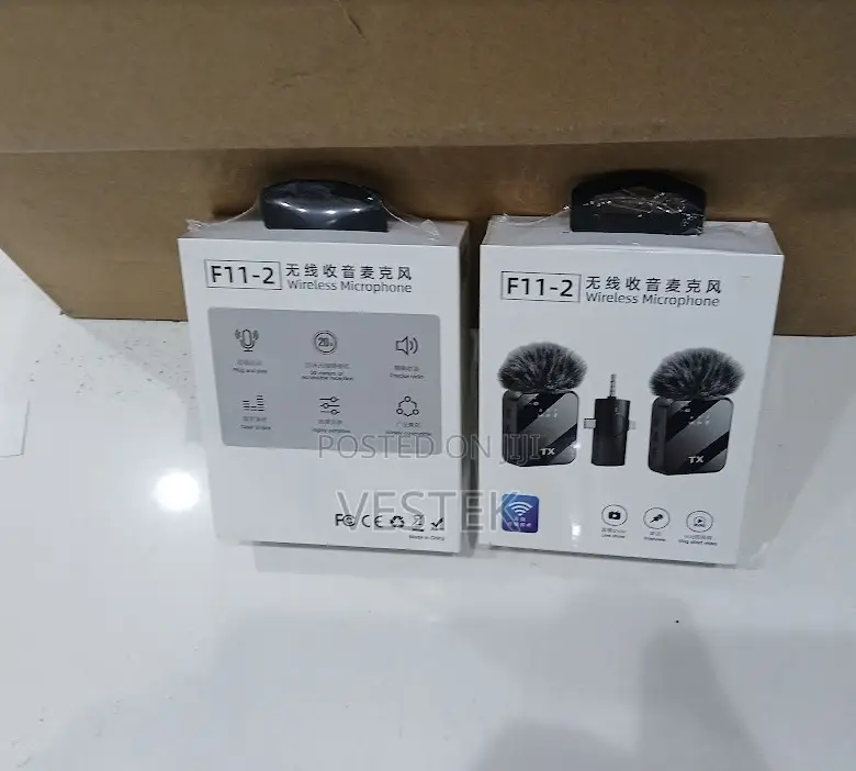 F11-2 Wireless Microphone Plug and Play