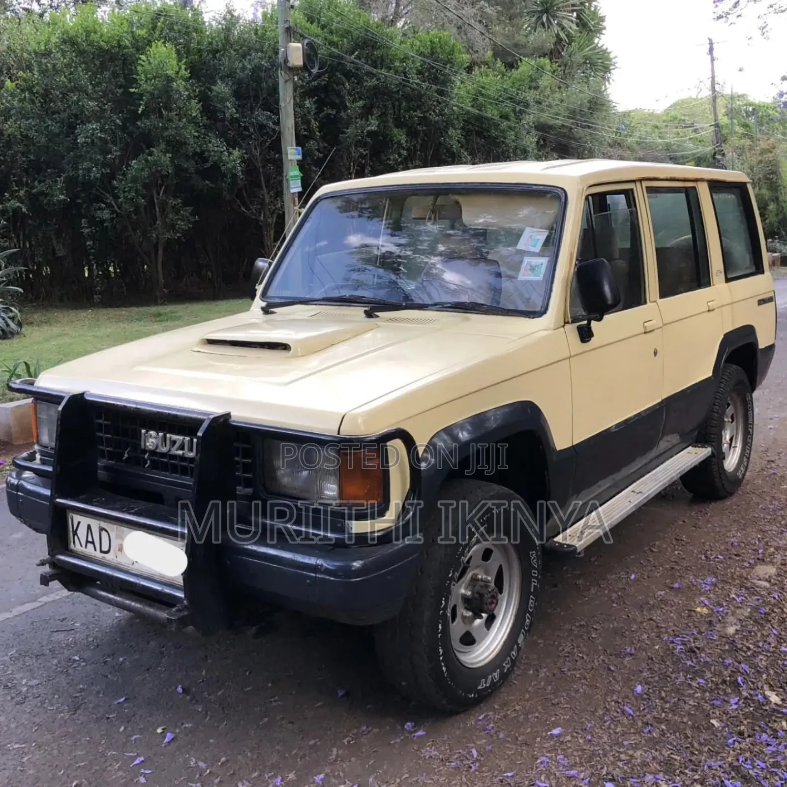 Isuzu Trooper 1994 Beige