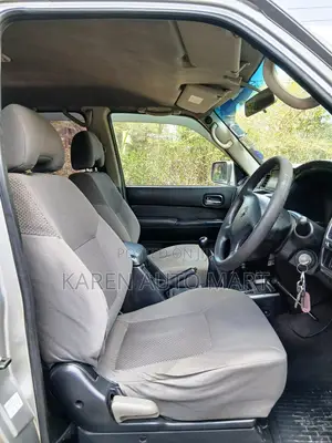 Nissan Patrol 2010 Silver
