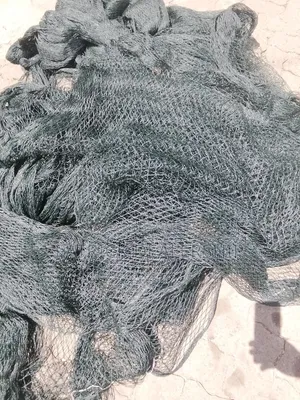 Bird Net Available